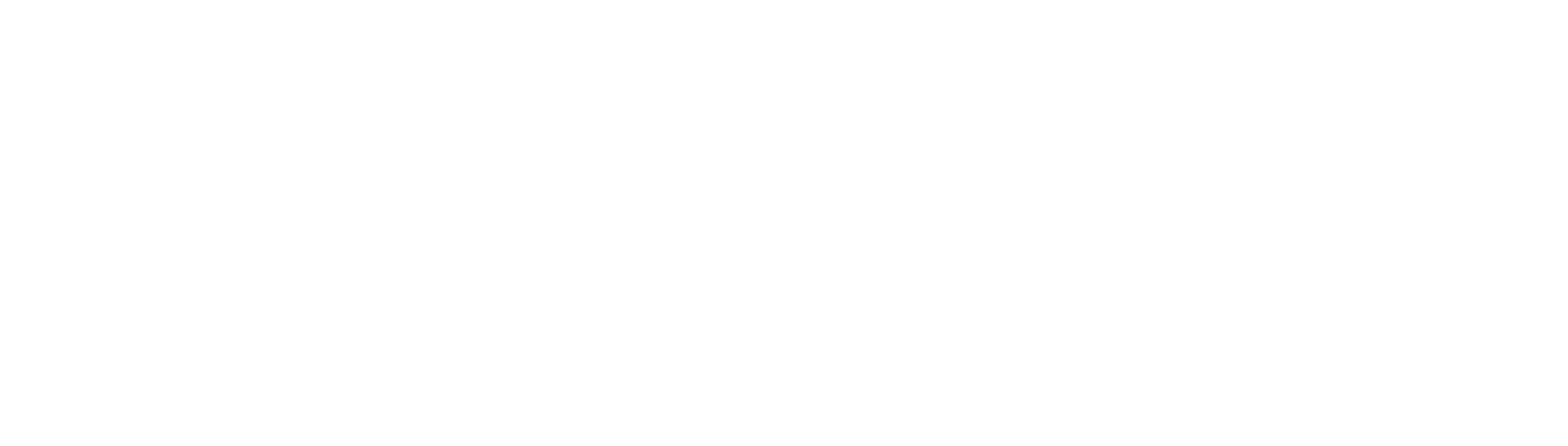 Safety Solutions Global